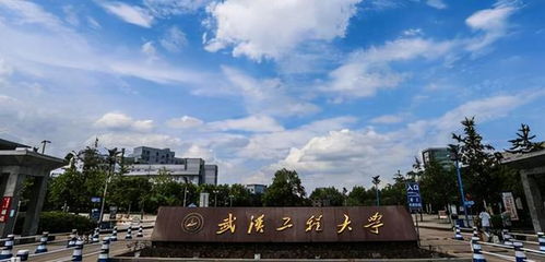 武漢工程大學(xué)化學(xué)與環(huán)境工程學(xué)院公布環(huán)境工程專(zhuān)業(yè)預(yù)調(diào)劑需求